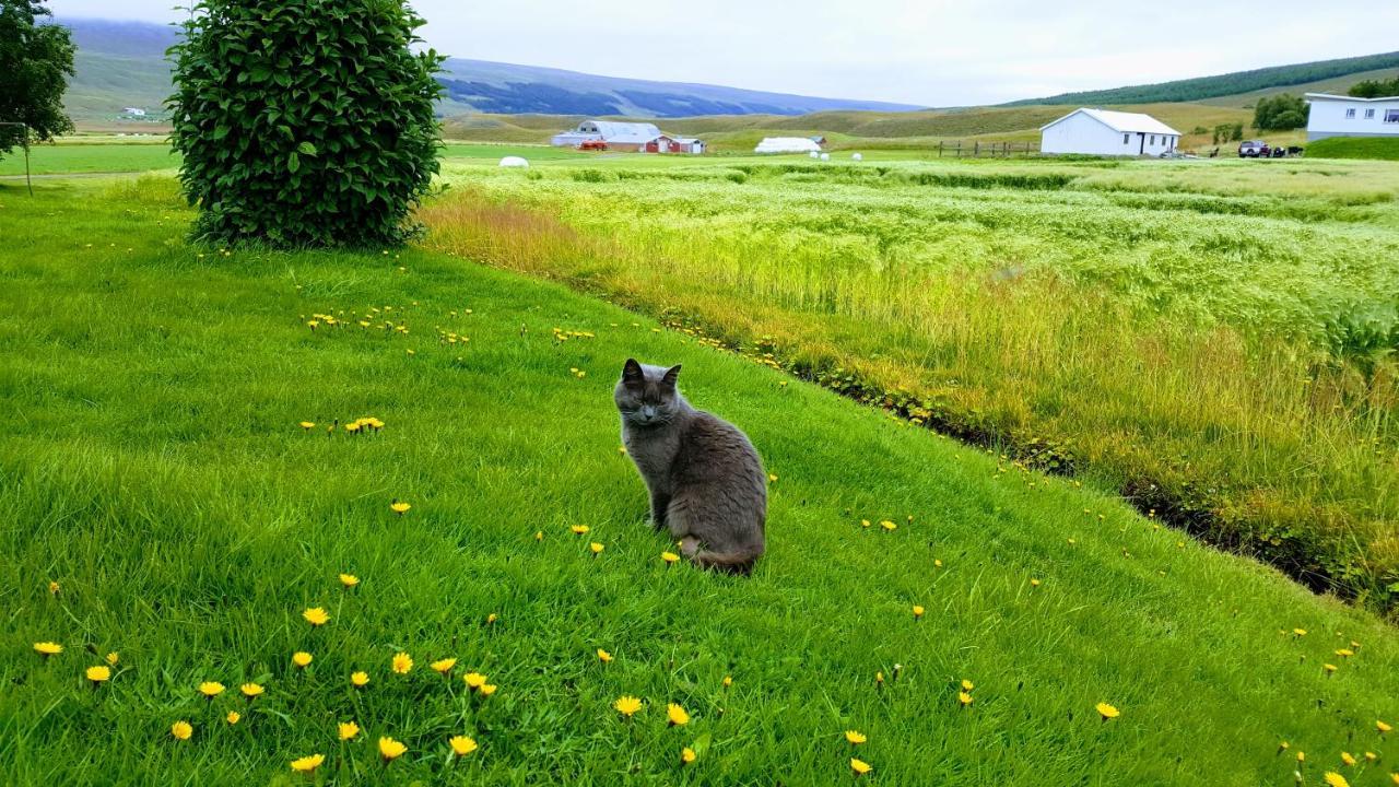 Breidamyri Farm Apartments Laugar  Eksteriør bilde